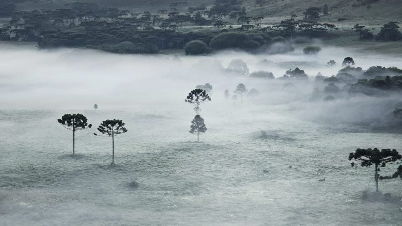 Primeira geada do ano na Serra de SC