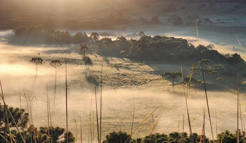 Terceira geada de 2025 marca chegada do outono em Santa Catarina