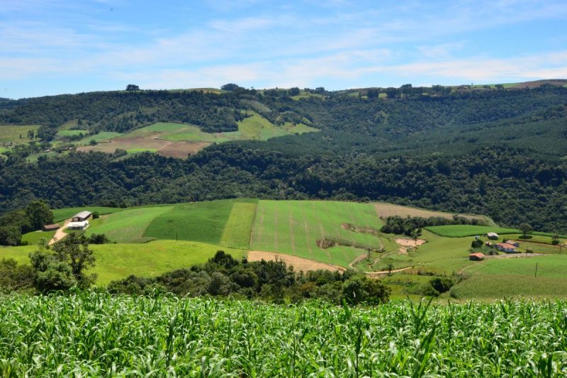 o aumento nos investimentos tem como objetivo garantir mais oportunidades e renda para os produtores catarinenses