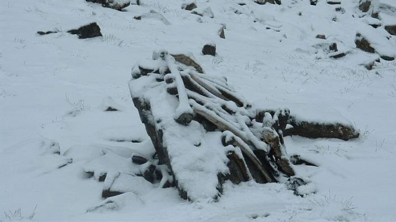 Ossadas de pessoas debaixo de neve