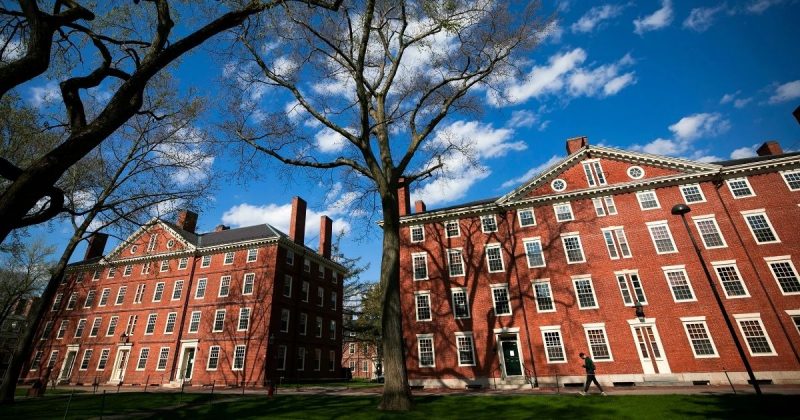 Cursos de Harvard podem ser feitos de forma virtual