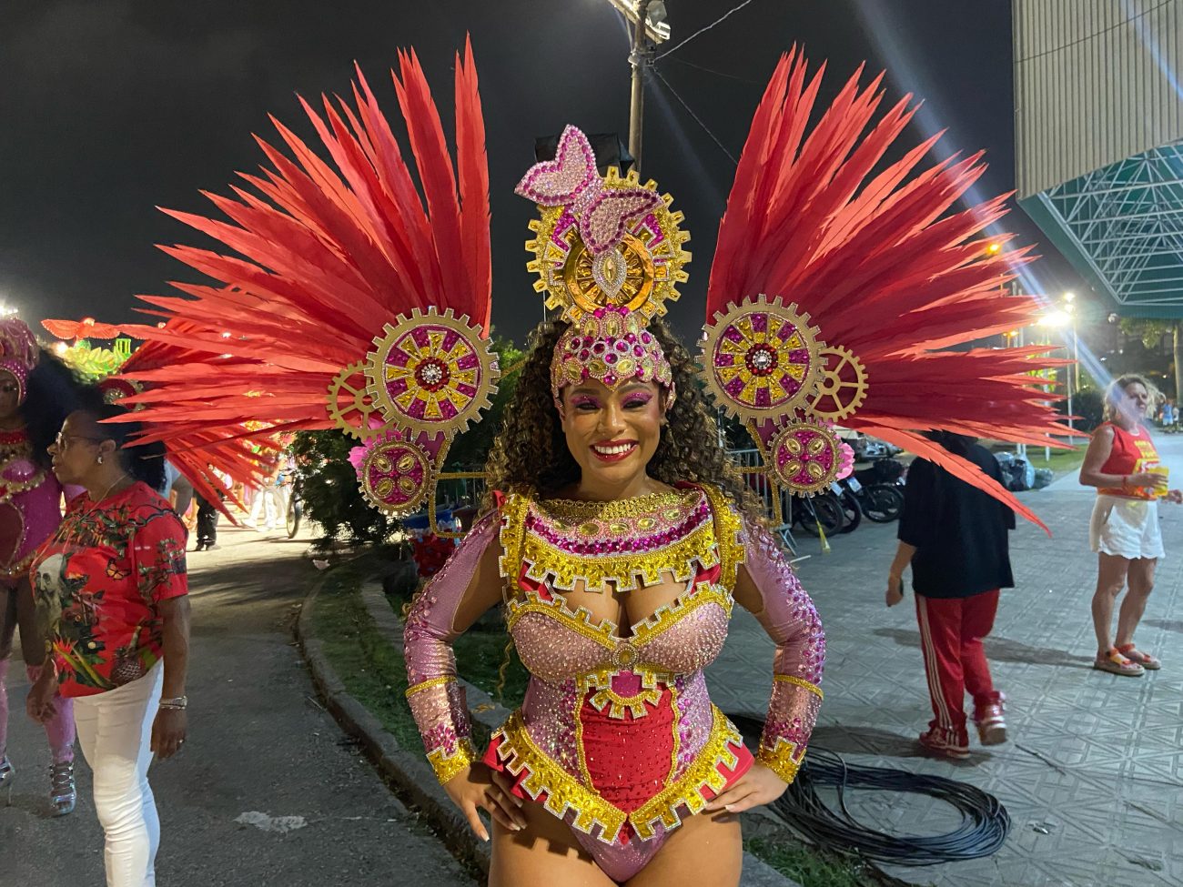 Julia da Silva, passista da Consulado, mostrou desenvoltura e conquistou o público no Carnaval 2025 - Gabriela Ferrarez/ND