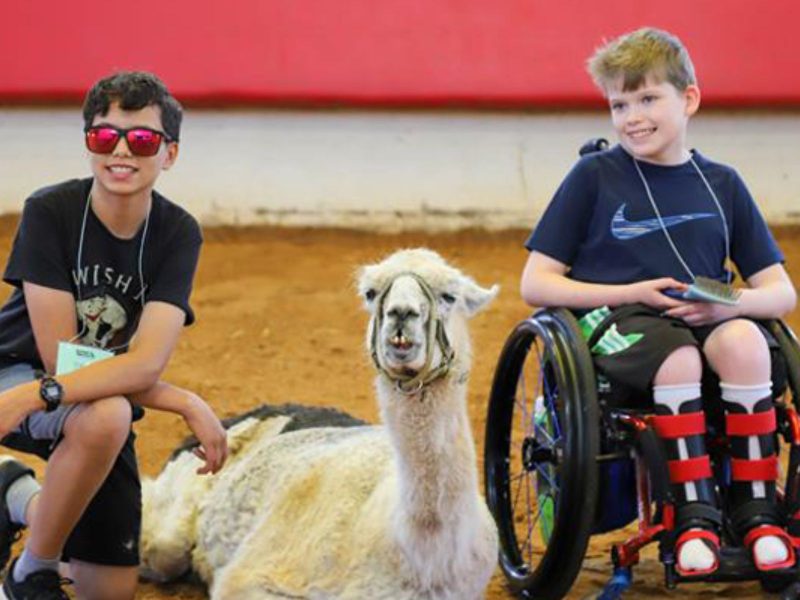 Whitetop proporciona experi&ecirc;ncias de acampamento transformadoras para as crian&ccedil;as – Foto: Reprodu&ccedil;&atilde;o/Victory Junction/ND