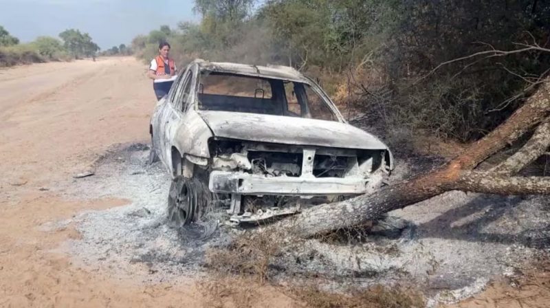 Homem foi atacado por abelhas e bateu o carro