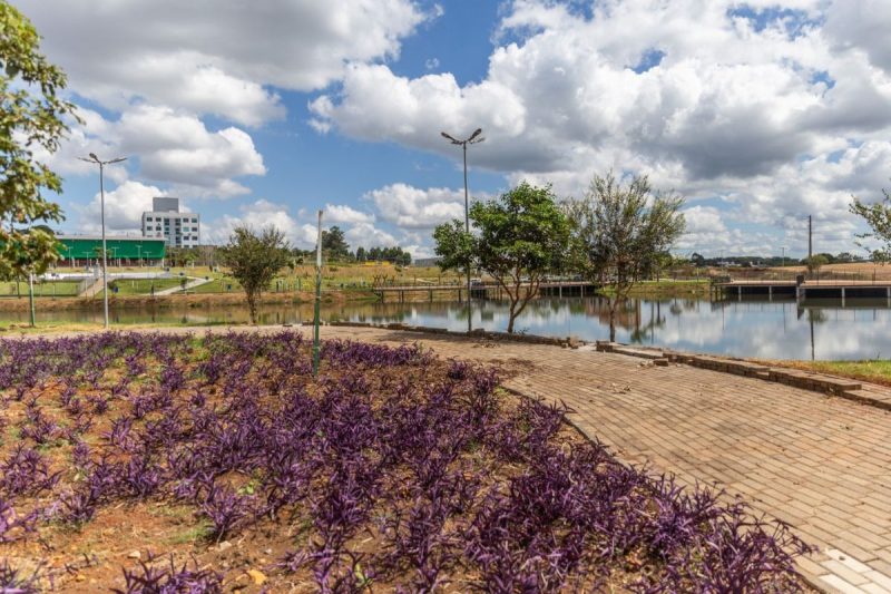 parque revitalizado