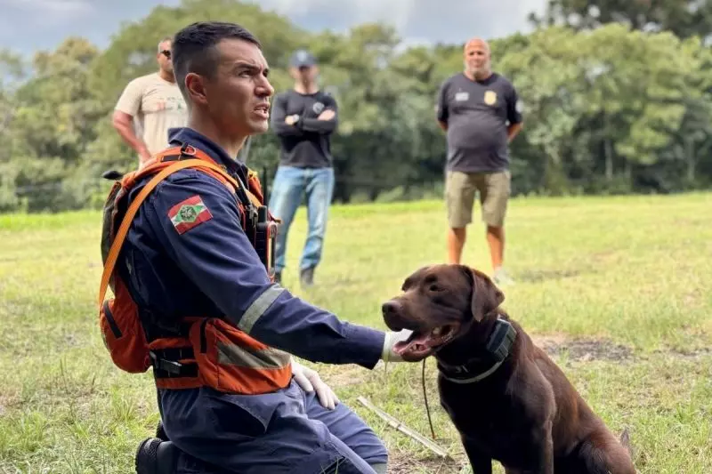 Cinotecnia policial é o método de trabalho com os cães farejadores