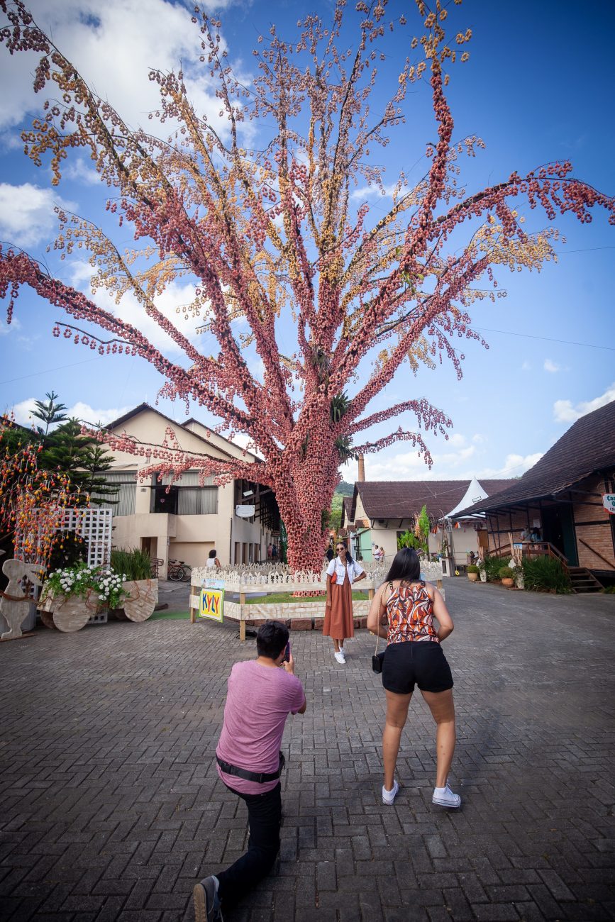 A Osterbaum de Pomerode, montada na Osterfest e que hoje está no Guinness Book, é uma tradição dos imigrantes alemães na cidade - Leo Laps