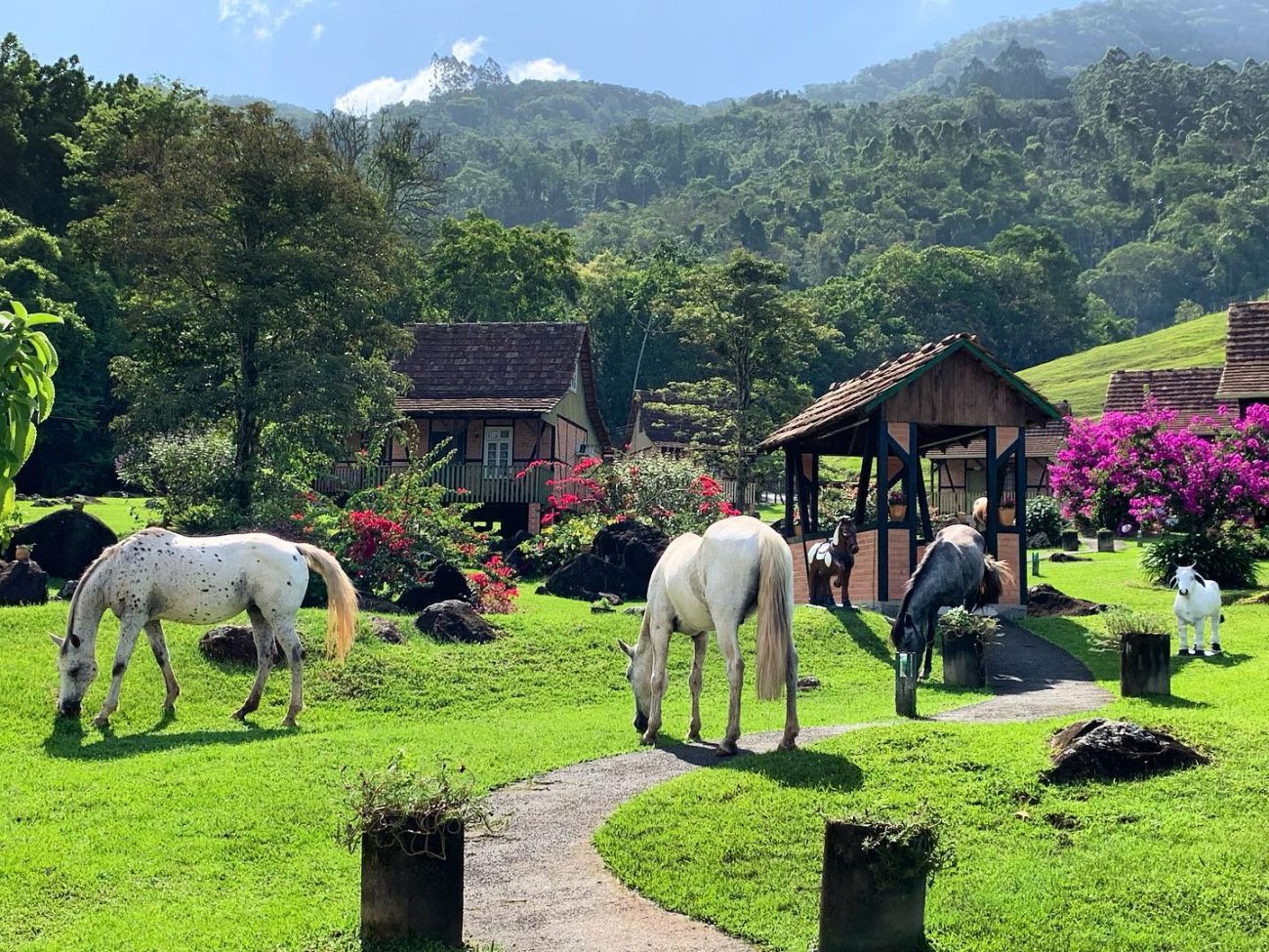 Além de ser pousada e restaurante, o Paraíso Enxaimel Mundo Antigo tem um acervo histórico de maquinários antigos do período da imigração ainda em funcionamento  - Divulgação