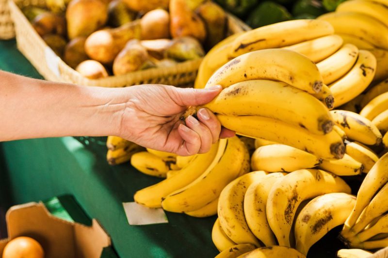 Queda no valor da banana afeta produtores em SC