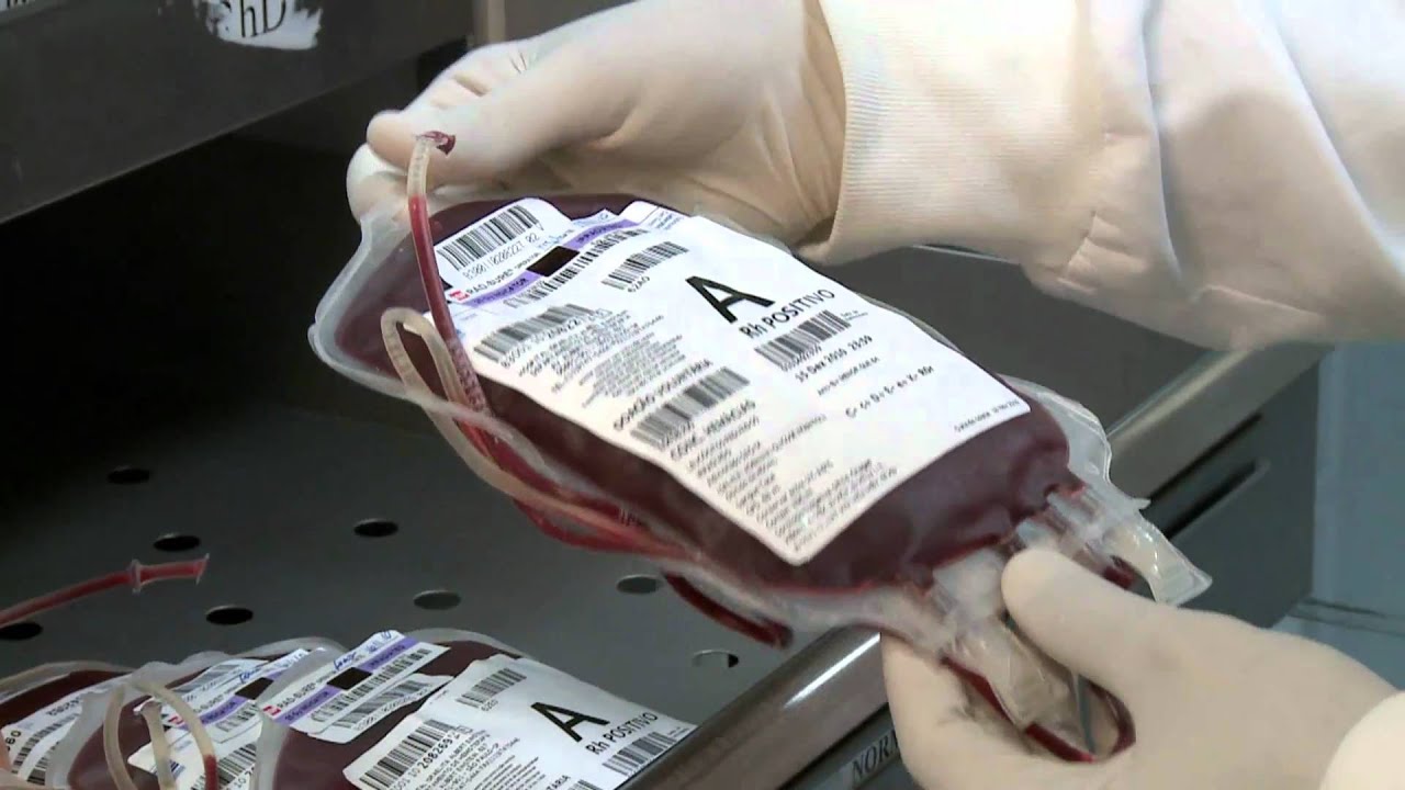Bolsa de sangue em matéria sobre o Dia Mundial da Doação de Sangue