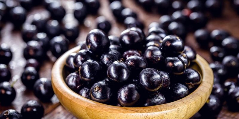 Jabuticaba, frutas com antioxidantes