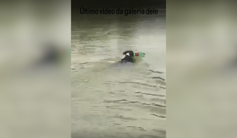 Cachorra Zaira nadando em lago