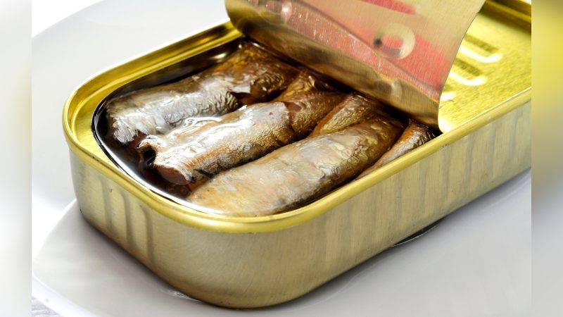 sardinha Lata de sardinha aberta