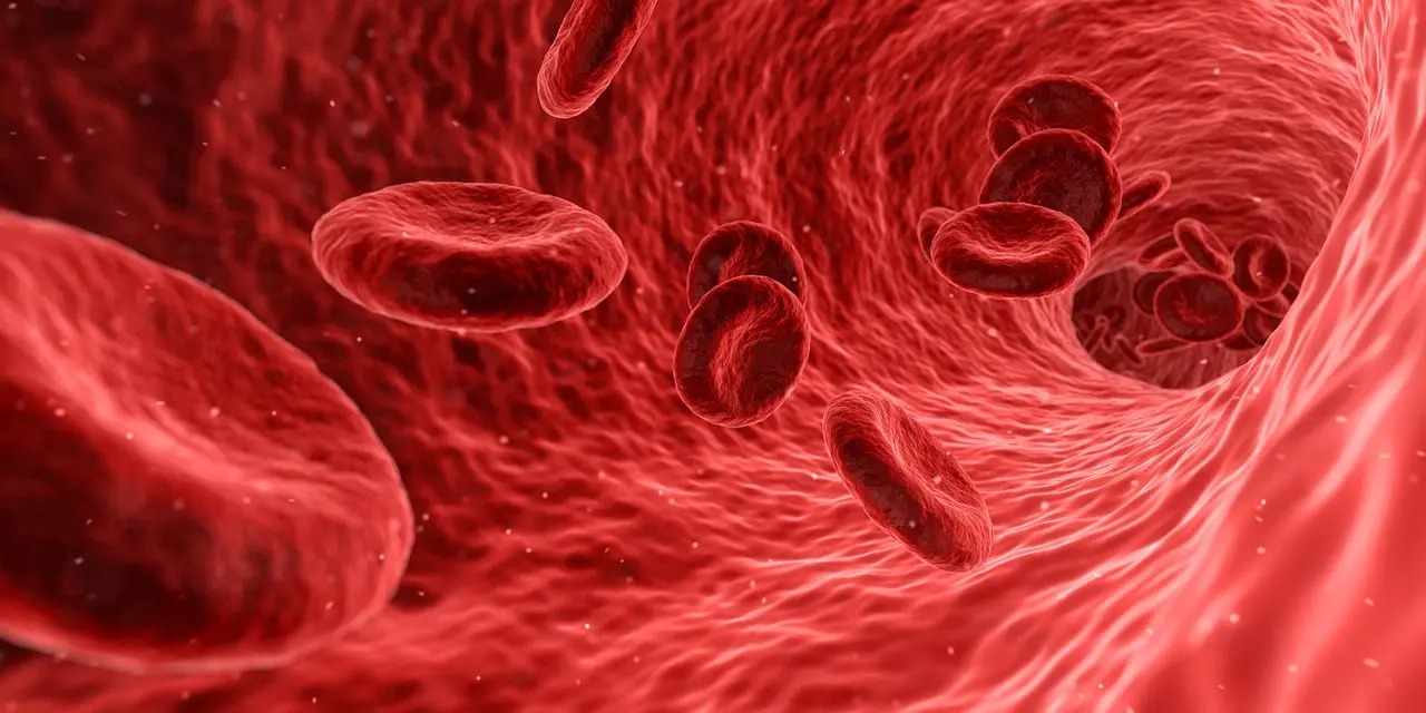 Imagem ilustrativa do sangue correndo nas veias