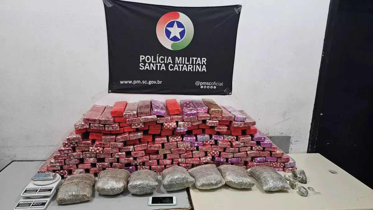 Homem desconfia de vizinho, faz denúncia e polícia encontra mais de 140 kg de maconha em SC