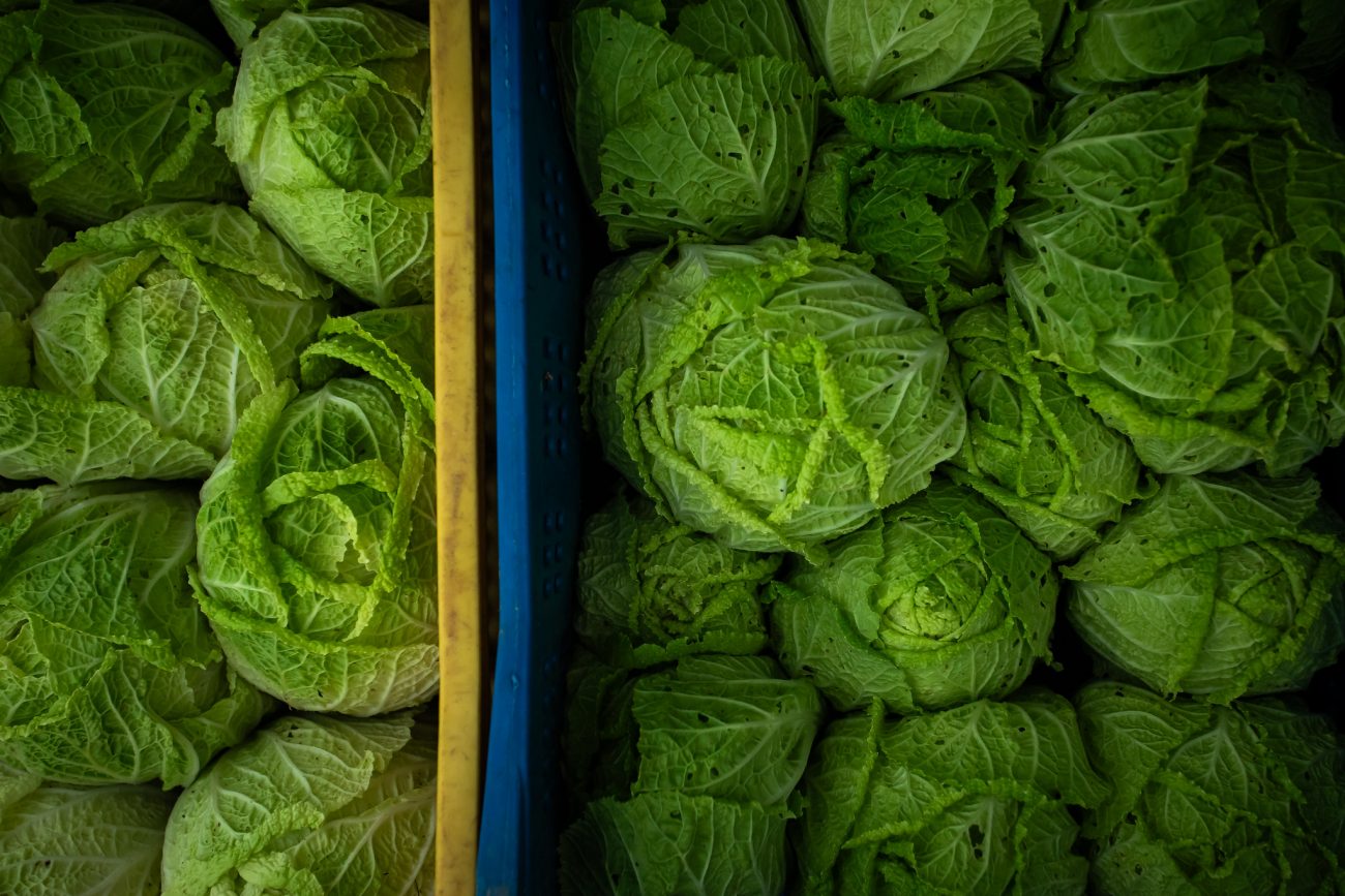 Mais de quatro toneladas de alimentos são entregues a 25 entidades em Florianópolis