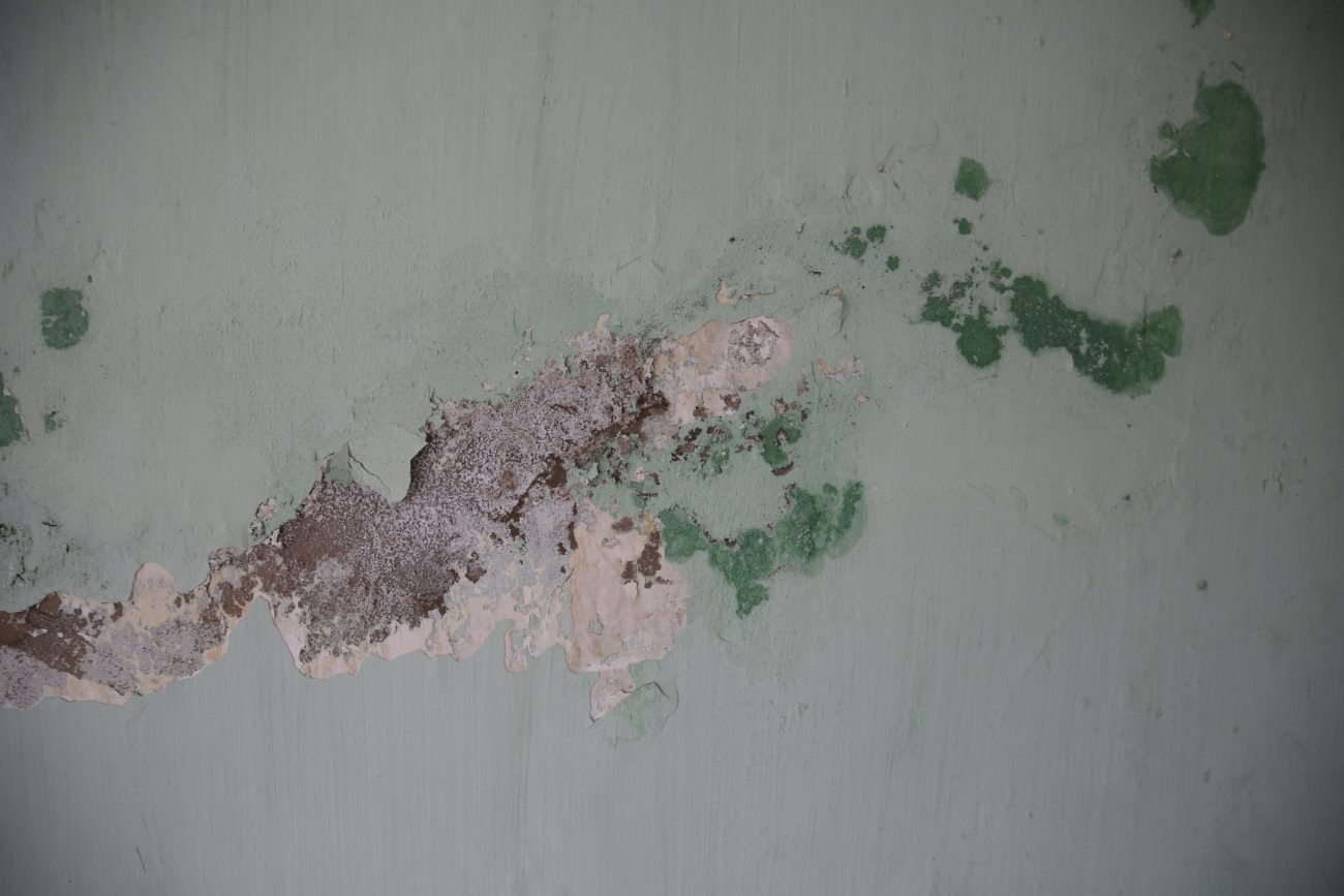 Paredes com histórico de mofo ficam ainda piores com uma pintura no verão - A melhor época para pintar a casa pode te poupar tempo e dor de cabeça (11)