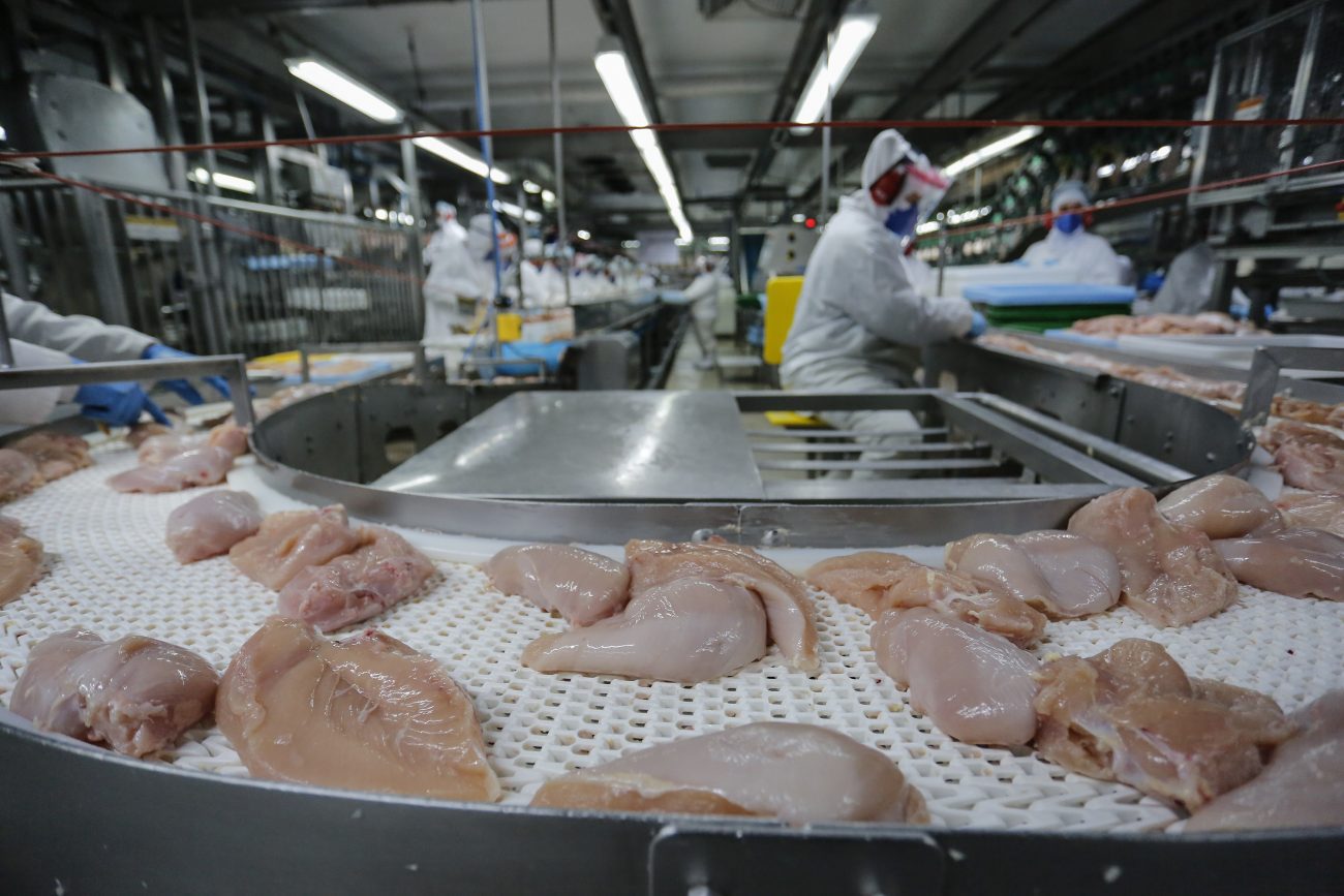 Os dez países que mais importam frango do Brasil representam mais de 60% das exportações brasileiras - Foto: Jonathan Campos/AEN-PR/Reprodução/ND Os dez países que mais importam frango do Brasil representam mais de 60% das exportações brasileiras - Foto: Jonathan Campos/AEN-PR/Reprodução/ND