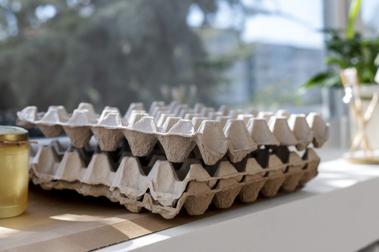 Caixas de ovos de papelão Caixas de ovos de papelão em uma bancada
