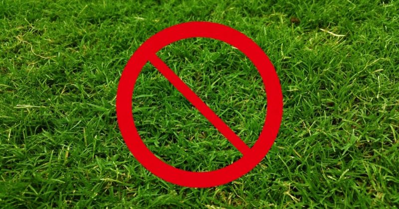 Adeus, grama no jardim Imagens de um chão coberto de grama com um proibido na frente, para fazer referência ao tema abordado na matéria que é: plantas para substituírem a grama