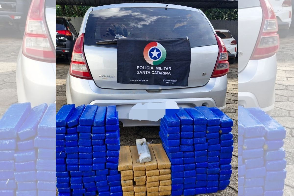 139 kg de maconha empilhadas na frente de um renault sandero prata com a bandeira da pm
