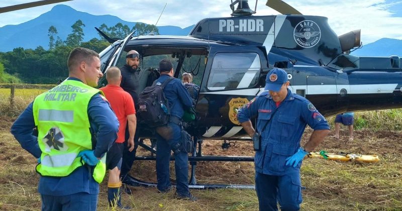Ataque de marimbondos Homem é encaminhado ao hospital após ser atacado por marimbondos