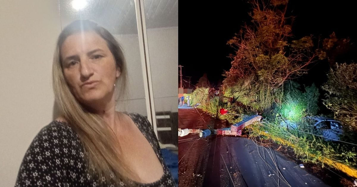 Casal é atropelado em estrada de SC e mulher morre ainda no local do acidente