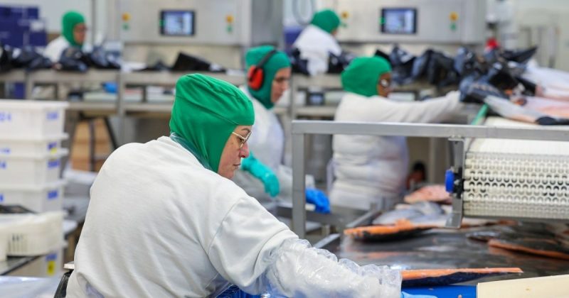 Produção industrial em SC Imagens de pessoas trabalhando em fábricas, para fazer referência ao conteúdo abordado na matéria que é a produção industrial em SC