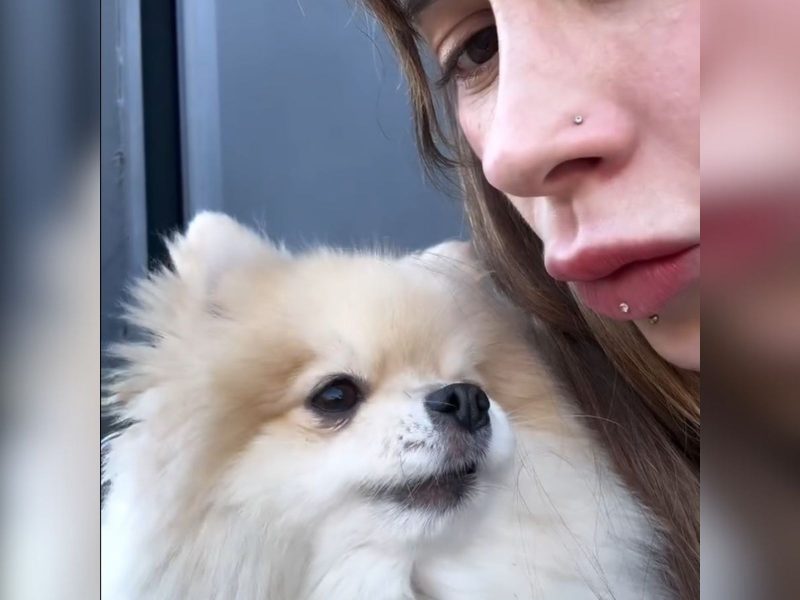 Cachorrinho imita pombo Imagem mostra mulher e um cachorrinho da raça Lulu da Pomerânia. O animal é bem peludo e branco e mulher tem piercings no nariz e na boca. Cachorrinho imita som de pombo e diverte internet