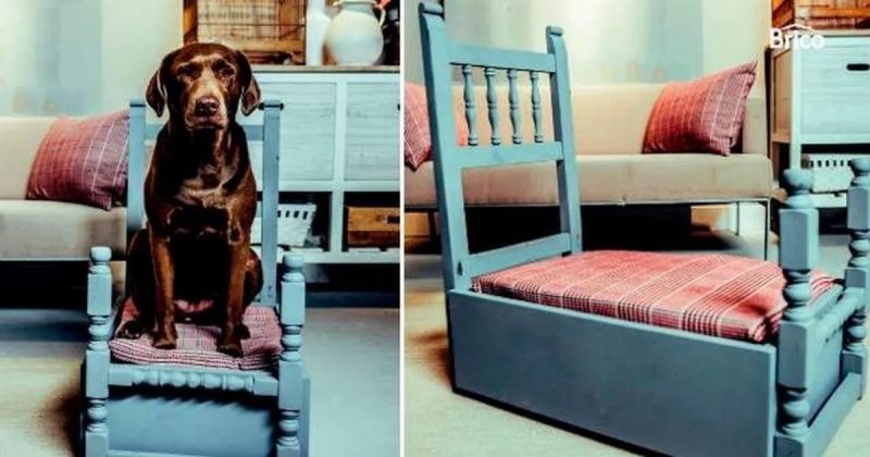 Cama para pet Cama para pet feita em casa