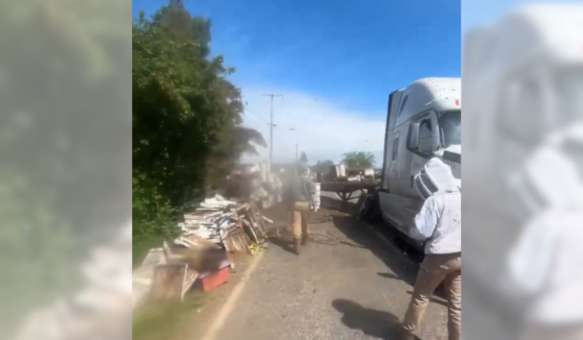 Equipe de vinte apicultores foi acionada para conter os enxames