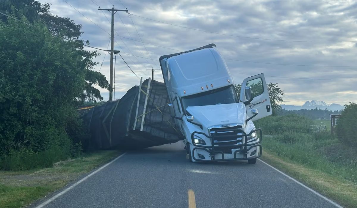 Caminhão tomba e libera 250 milhões de abelhas nos EUA