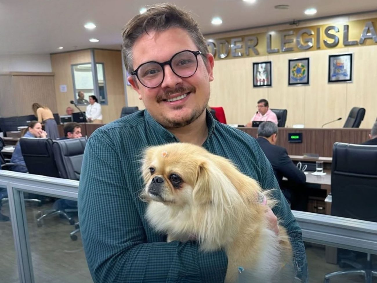 Programa Cão Terapia em Blumenau Programa Cão Terapia em Blumenau: conheça novo projeto