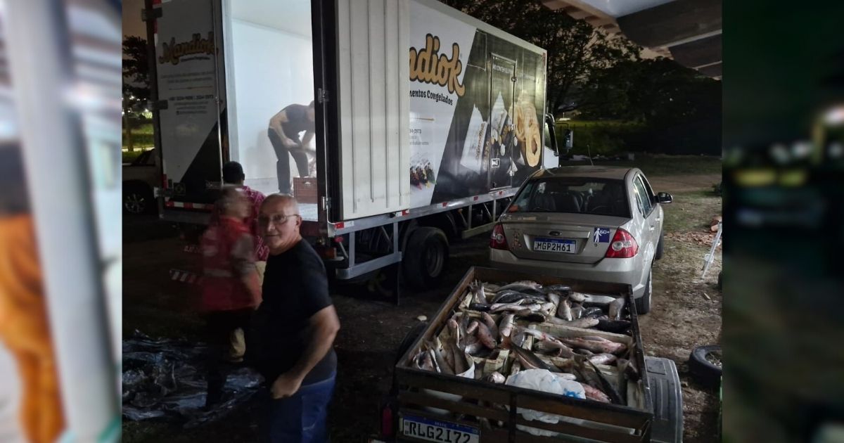 Mais de 700 caixas de tainha foram apreendidas ap&oacute;s fiscaliza&ccedil;&atilde;o – Foto: Divulga&ccedil;&atilde;o/ND