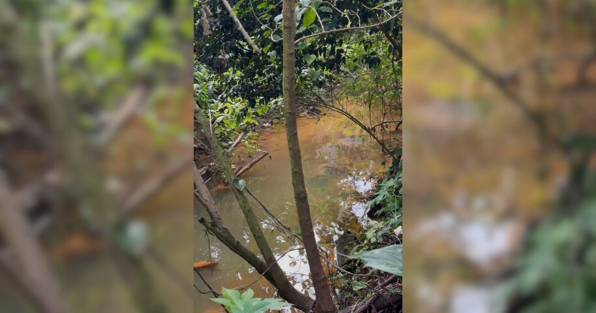 Morador está preocupado com avanço de rio Morador está preocupado que rio avance em períodos chuvosos