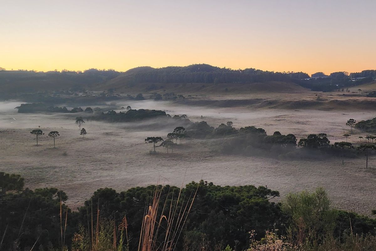 Cidade de SC tem 16 geadas e termina maio com -2,3&deg;C – Foto: Wagner Urbano/NDTV/ND