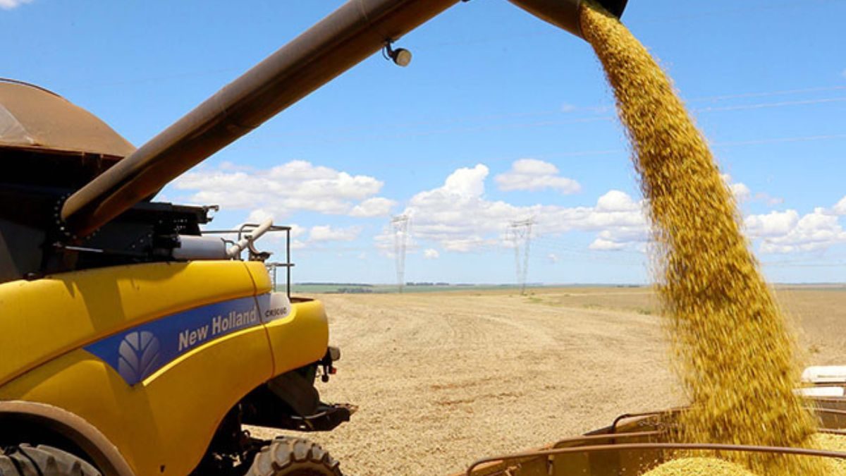 Governo lança Plano Safra recorde, mas agro reage: ‘não tem mais capacidade de responder’ - QTU Questões do Universo