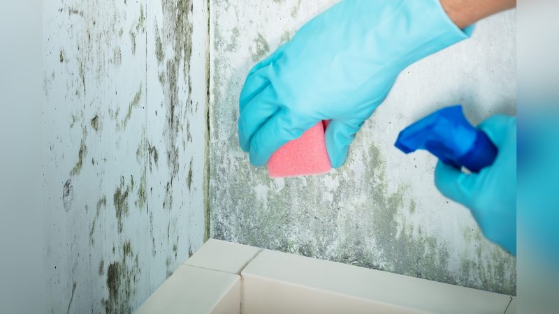 Limpar parede com esponja e borrifador Pessoa limpando parede com esponja e borrifador