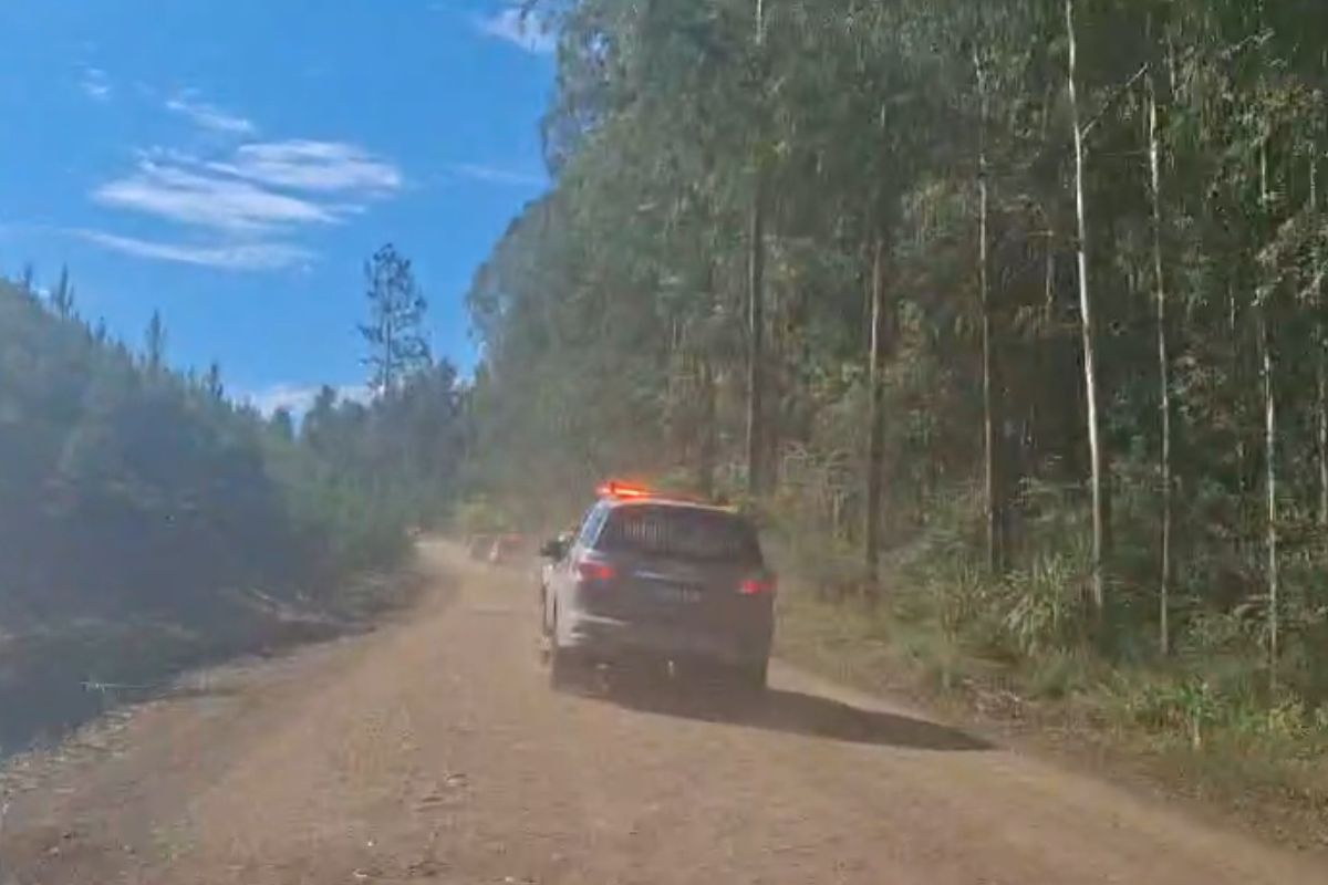 O crime ocorreu em Abelardo Luz; o pai é o principal suspeito de ter matado a própria filha de 1 ano e 9 meses - Diego Antunes/ND