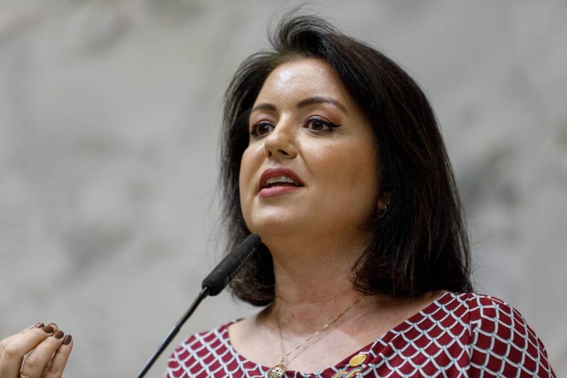 Deputada estadual Andr&eacute; Werner (PSB) classificou falas do secret&aacute;rio como violentas – Foto: Rodrigo Costa/Alesp/ND