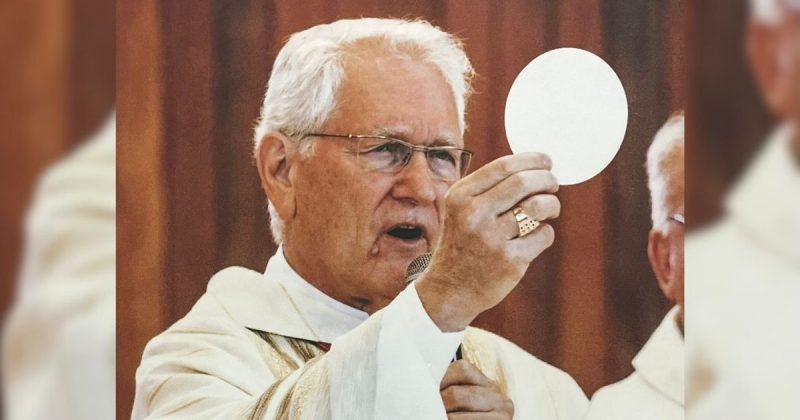 Dom Leonardo Ulrich Steiner Dom Leonardo Ulrich Steiner, um dos cardeais brasileiros