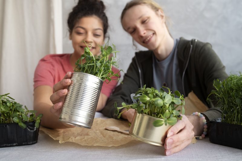 Mulheres plantando ervas Mulheres plantando ervas em latas