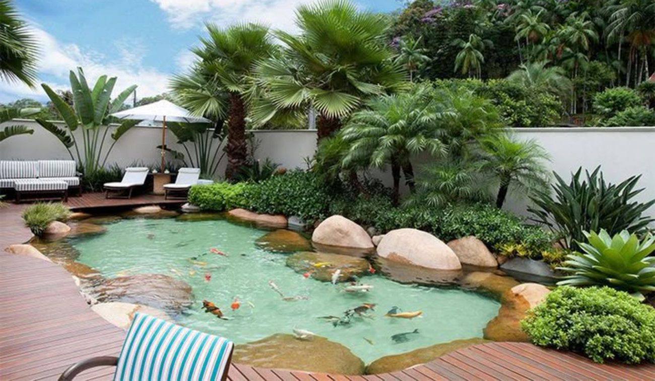 piscina natural no quintal de casa imagem de uma piscina natural no quintal de casa