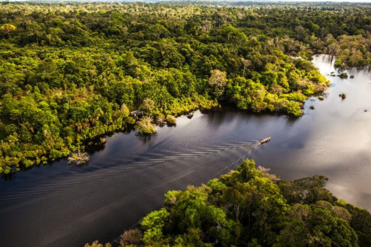 Foz do Amazonas Projeto abre caminho para prospecção de petróleo na bacia da foz do rio Amazonas