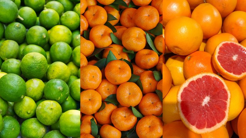 limão, tangerina e toranja Imagem de limão, tangerina e toranja