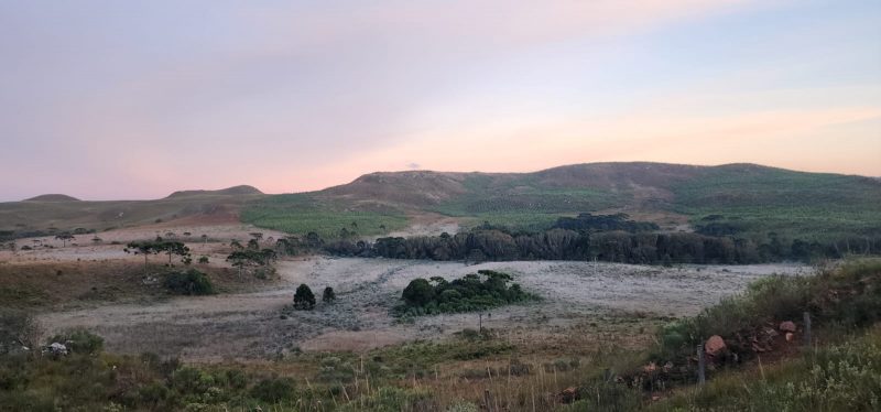 Geada muda paisagem em São Joaquim FOTOS: Geada muda paisagem após São Joaquim registrar -1,9°C nesta sexta-feira, foto mostra colinas verdes no amanhecer esbranquiçadas