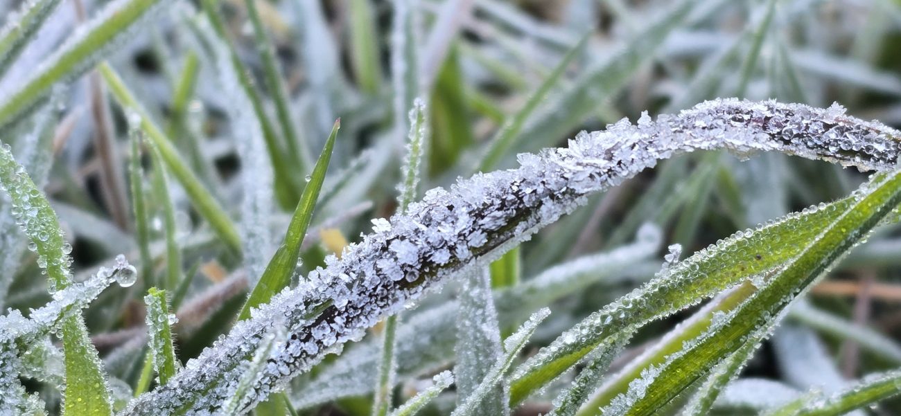 Frio Massa de ar frio fez temperaturas despencarem em Santa Catarina