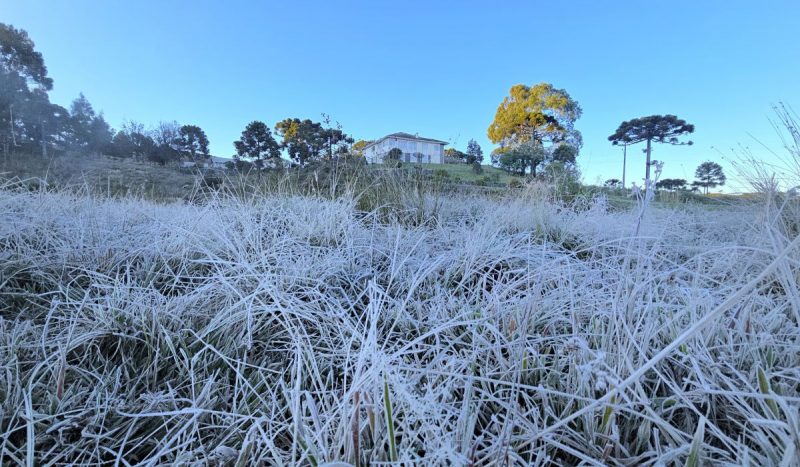 Geada em São Joaquim Geada pinta a vegetação de branco no Vale do Caminhos da Neve, em São Joaquim