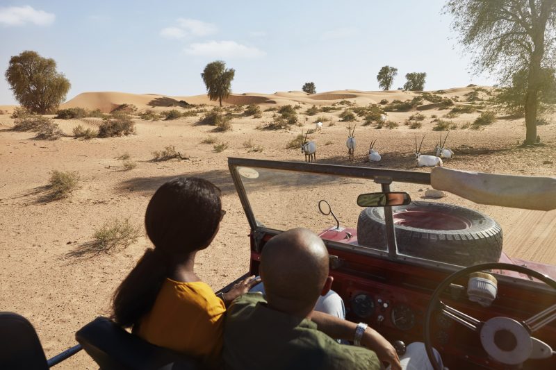 Safári no Deserto de Dubai com a Platinum Heritage