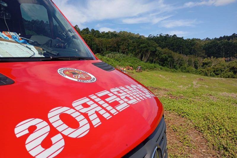 Homem morre esmagado por raiz de árvore enquanto cortava lenha em SC Homem morre esmagado por raiz de árvore enquanto cortava lenha em SC
